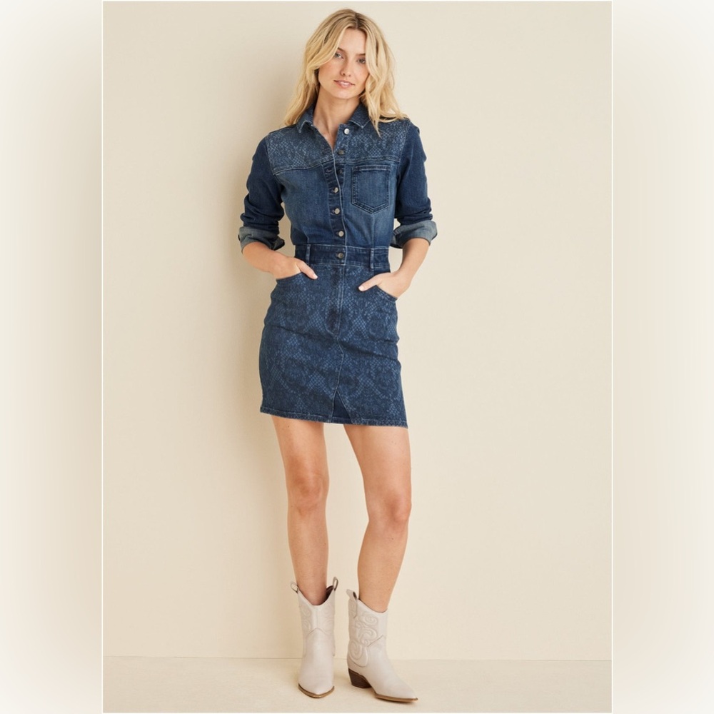 Venus Lace Print Denim Mini Dress - Picture 2 of 11